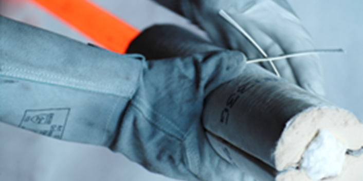 Featured image for Research topics Prof. Karl