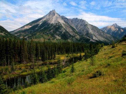 Towards entry "ABBY-Net Summer School 2025 in Canada – Apply now!"