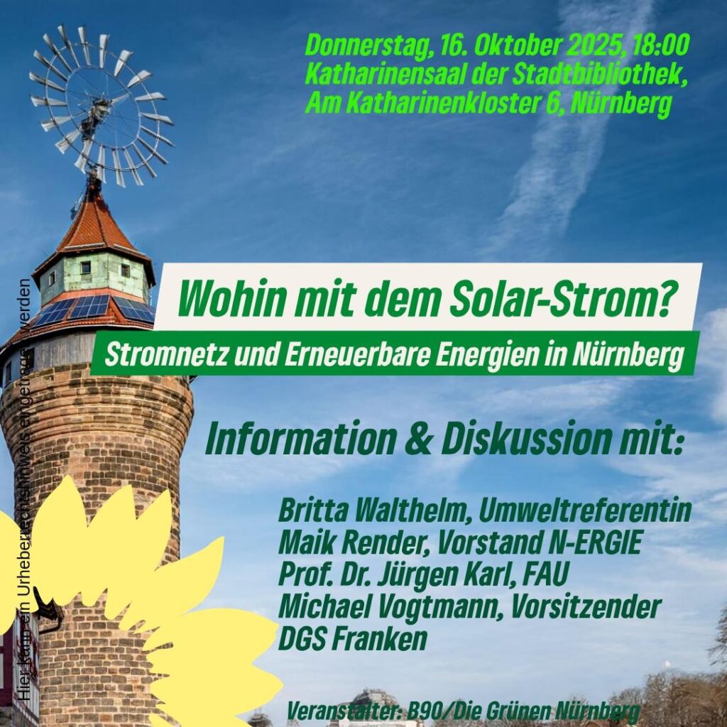 Flyer Wohin mit dem Solarstrom